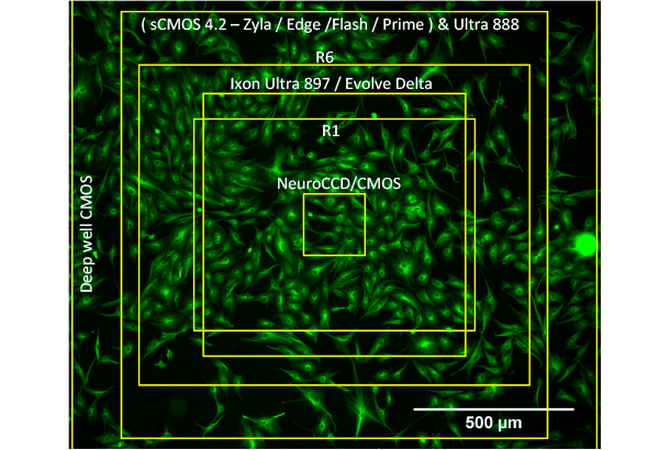 Microscope Camera Comparison