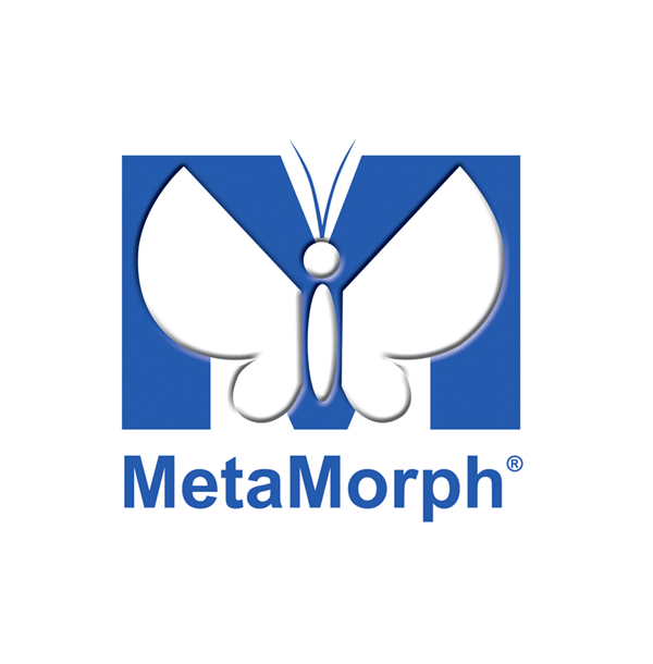 metaMorph